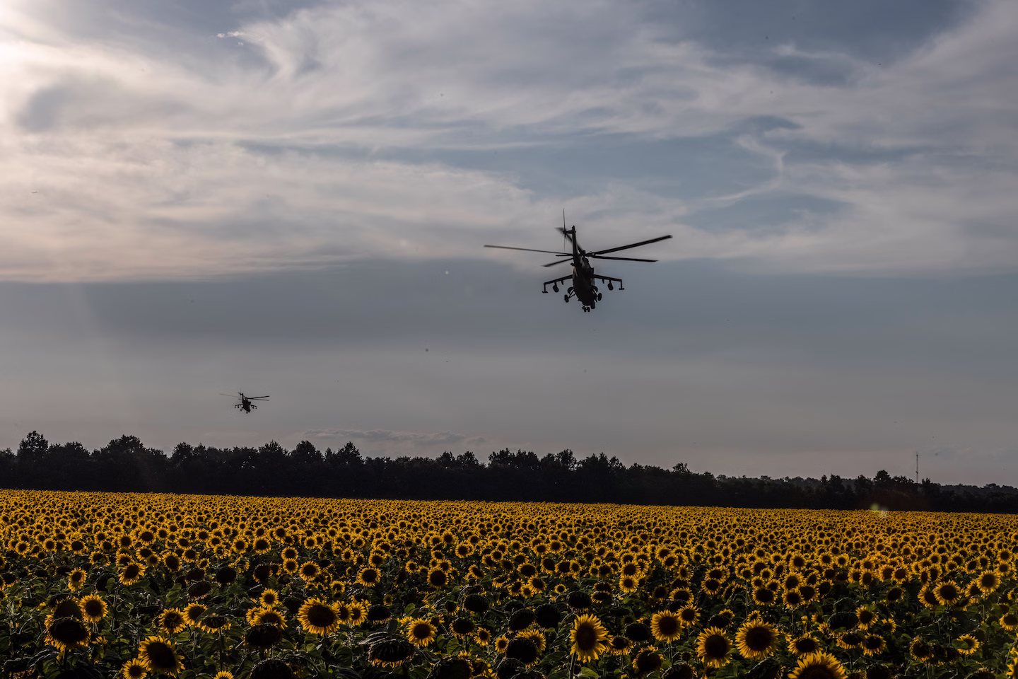 Українські військові вертольоти літають над полем соняшників у Донецькій області України в середу.